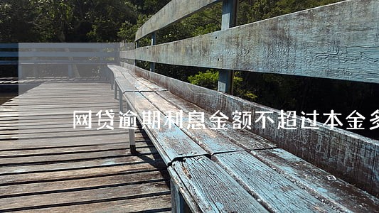 网贷逾期利息金额不超过本金多少 网贷逾期利息金额不超过本金多少