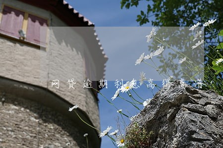 网贷逾期利息高得离谱 网贷逾期利息高得离谱