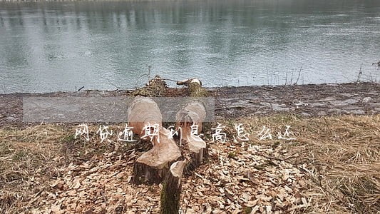 网贷逾期利息高怎么还 网贷逾期利息高怎么还