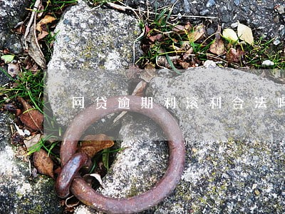 网贷逾期利滚利合法吗 网贷逾期利滚利合法吗