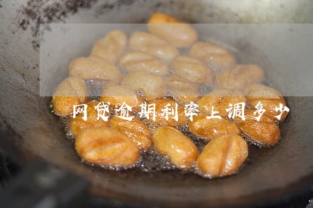 网贷逾期利率上调多少 网贷逾期利率上调多少