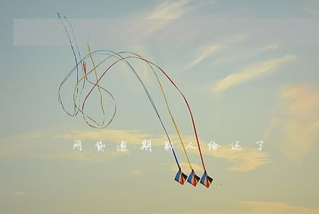 网贷逾期别人给还了 网贷逾期别人给还了