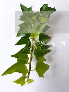 网贷逾期别做的事