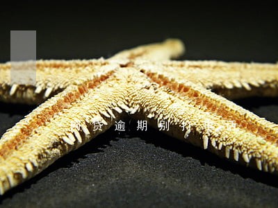 网贷逾期别打电话 网贷逾期别打电话