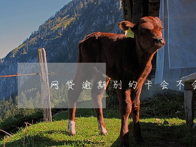 网贷逾期别的卡会不会喽钱