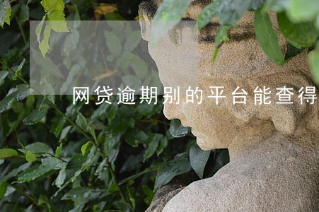 网贷逾期别的平台能查得到吗 网贷逾期别的平台能查得到吗