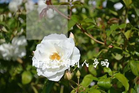 网贷逾期到人多吗 网贷逾期到人多吗
