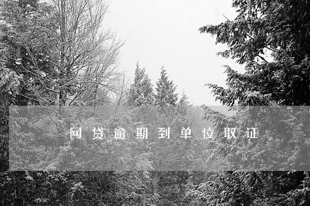 网贷逾期到单位取证 网贷逾期到单位取证