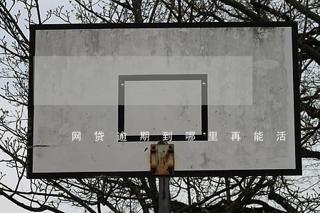 网贷逾期到哪里再能活 网贷逾期到哪里再能活