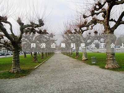 网贷逾期到底会不会上征信