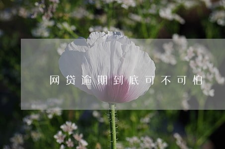 网贷逾期到底可不可怕 网贷逾期到底可不可怕