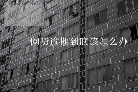 网贷逾期到底该怎么办 网贷逾期到底该怎么办