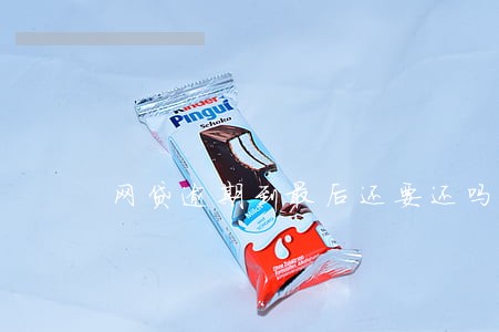 网贷逾期到最后还要还吗