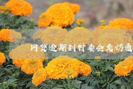 网贷逾期到村委会走访通报 网贷逾期到村委会走访通报