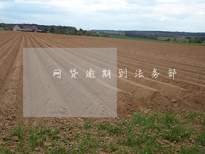 网贷逾期到法务部 网贷逾期到法务部