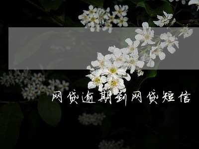 网贷逾期到网贷短信 网贷逾期到网贷短信