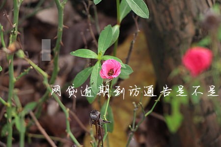 网贷逾期到访通告是不是真的 网贷逾期到访通告是不是真的
