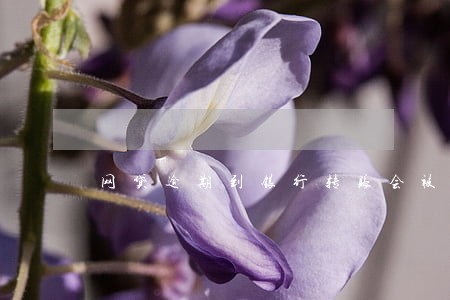 网贷逾期到银行转账会被扣款吗 网贷逾期到银行转账会被扣款吗