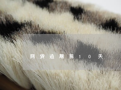 网贷逾期前10天 网贷逾期前10天