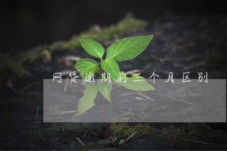 网贷逾期前三个月区别 网贷逾期前三个月区别