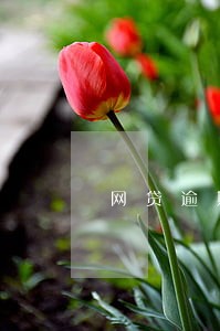 网贷逾期前取消通讯录授权 网贷逾期前取消通讯录授权
