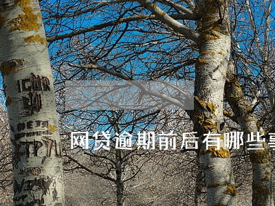 网贷逾期前后有哪些事