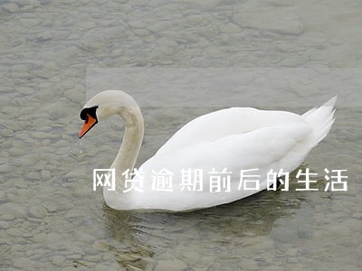 网贷逾期前后的生活 网贷逾期前后的生活