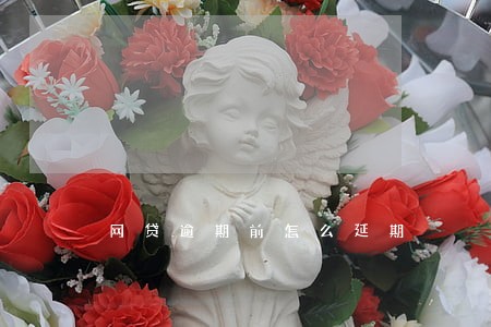网贷逾期前怎么延期 网贷逾期前怎么延期