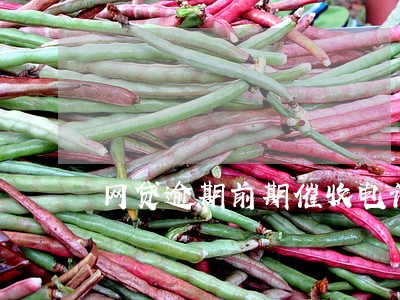 网贷逾期前期催收电话要不要接 网贷逾期前期催收电话要不要接