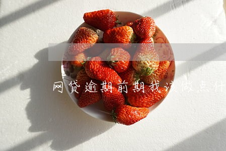 网贷逾期前期我该做点什么 网贷逾期前期我该做点什么
