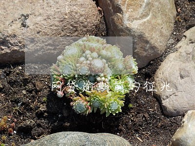 网贷逾期前的征兆 网贷逾期前的征兆