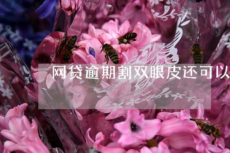 网贷逾期割双眼皮还可以分期 网贷逾期割双眼皮还可以分期