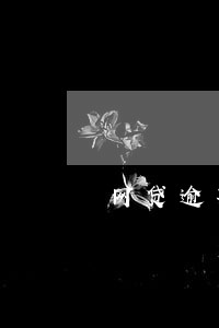 网贷逾期办不了信用卡