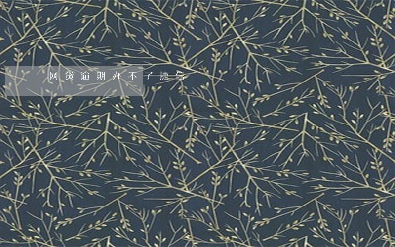 网贷逾期办不了捷信 网贷逾期办不了捷信