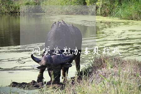网贷逾期办事处找我 网贷逾期办事处找我