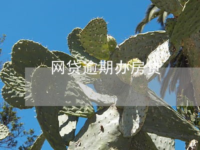 网贷逾期办房贷 网贷逾期办房贷
