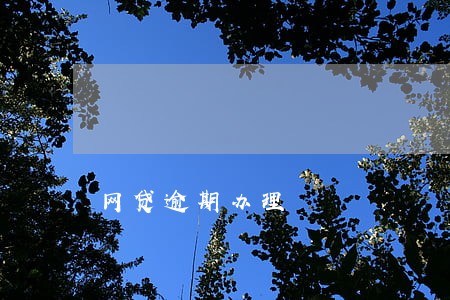 网贷逾期办理 网贷逾期办理