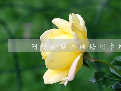 网贷逾期办理信用卡好办吗 网贷逾期办理信用卡好办吗