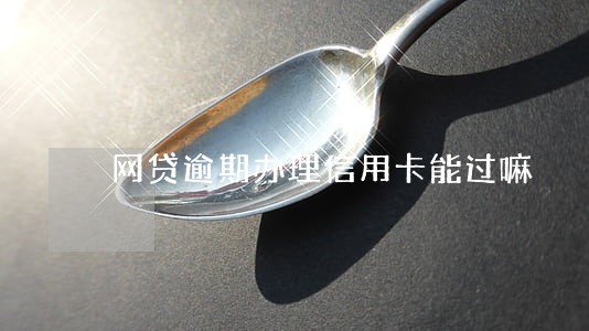 网贷逾期办理信用卡能过嘛 网贷逾期办理信用卡能过嘛