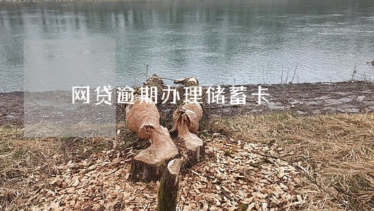 网贷逾期办理储蓄卡 网贷逾期办理储蓄卡