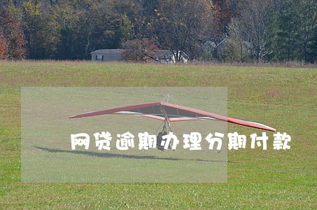 网贷逾期办理分期付款 网贷逾期办理分期付款