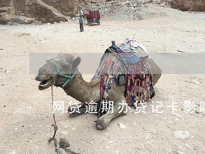 网贷逾期办贷记卡影响吗