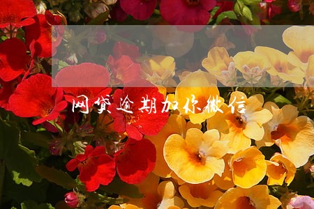 网贷逾期加你微信 网贷逾期加你微信