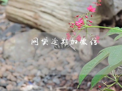 网贷逾期加微信 网贷逾期加微信