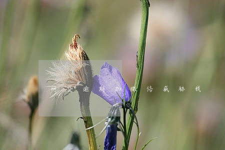 网贷逾期加微信威胁我 网贷逾期加微信威胁我