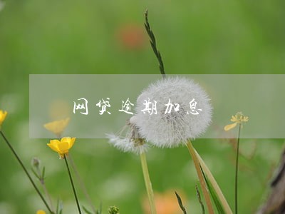 网贷逾期加息 网贷逾期加息