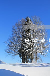 网贷逾期加我微信要加吗 网贷逾期加我微信要加吗