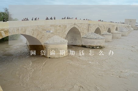 网贷逾期加钱怎么办 网贷逾期加钱怎么办