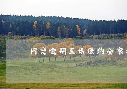 网贷逾期医保缴纳全家都受影响么 网贷逾期医保缴纳全家都受影响么