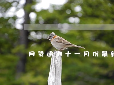 网贷逾期十一月份最新消息 网贷逾期十一月份最新消息